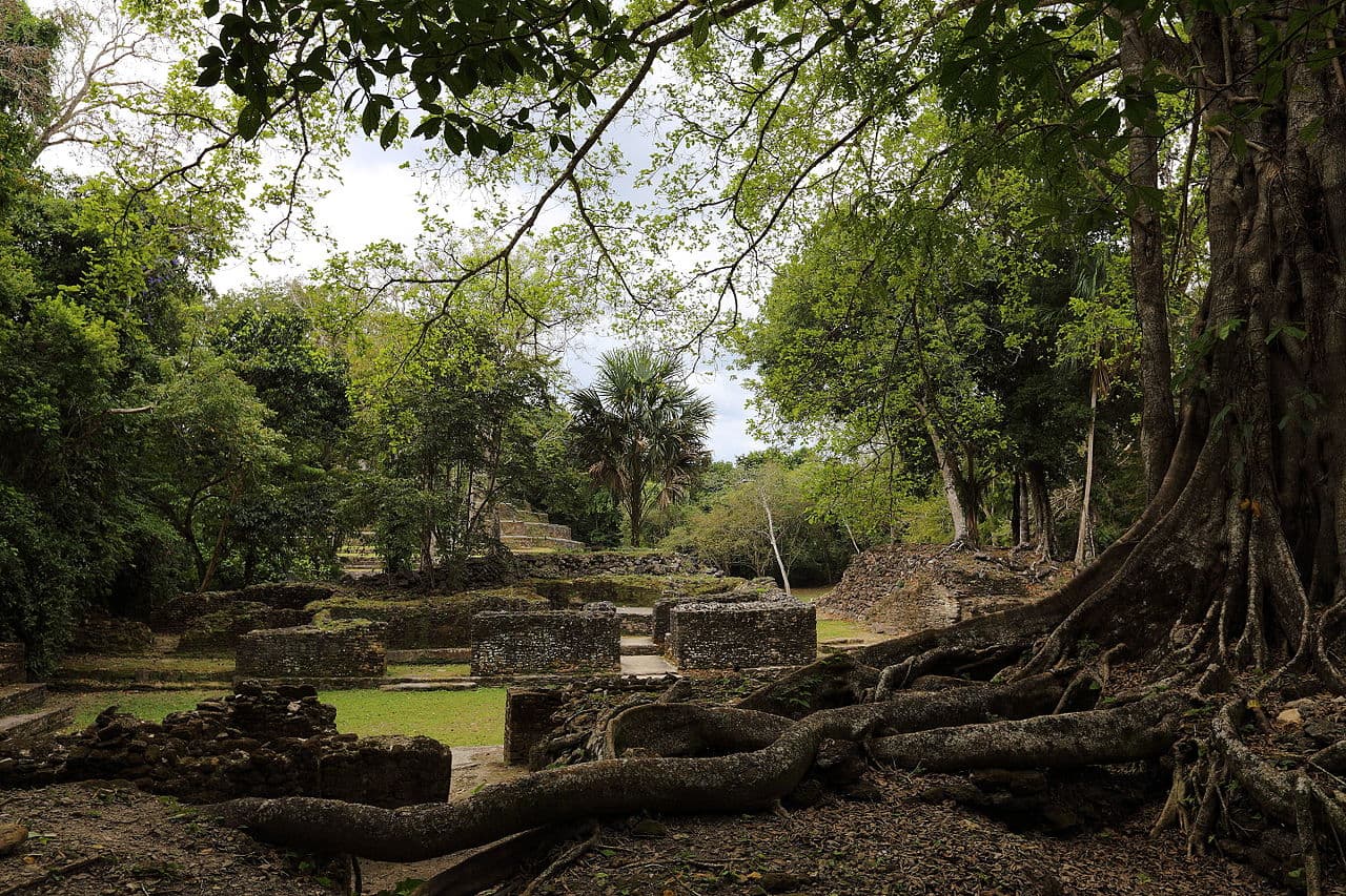 Оттава — вид