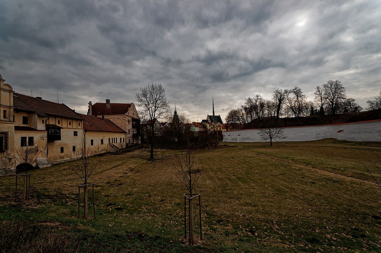 Пардубице — вид