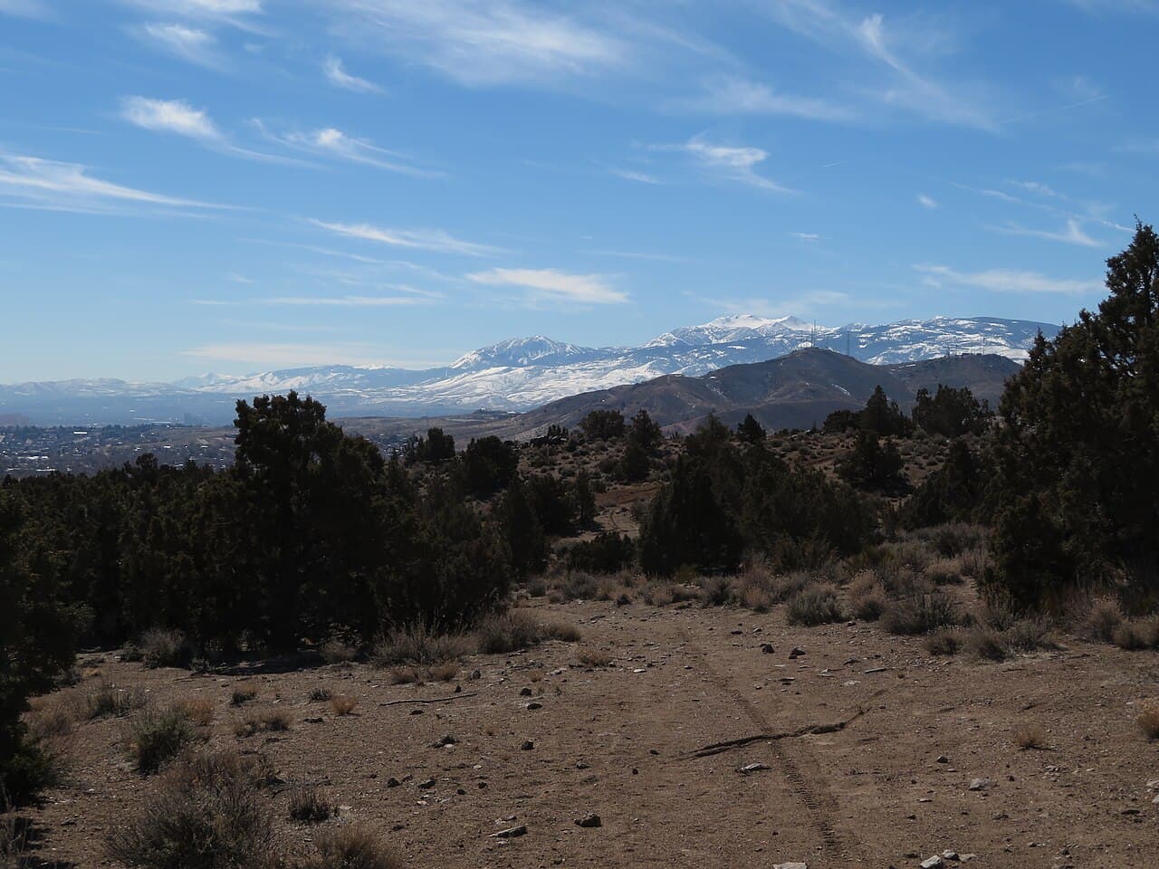 Сан-Валли — вид