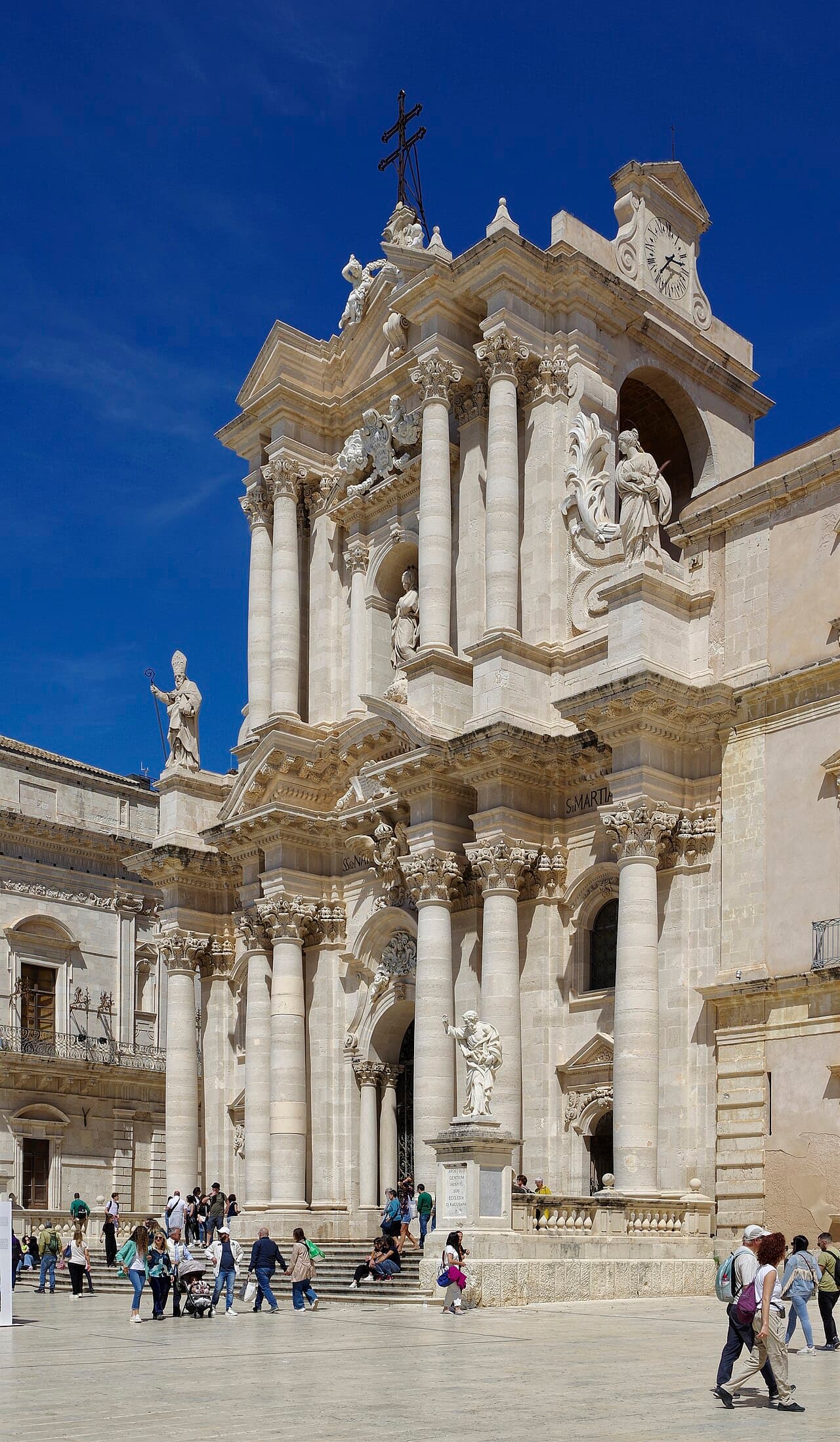 Сиракьюс — вид