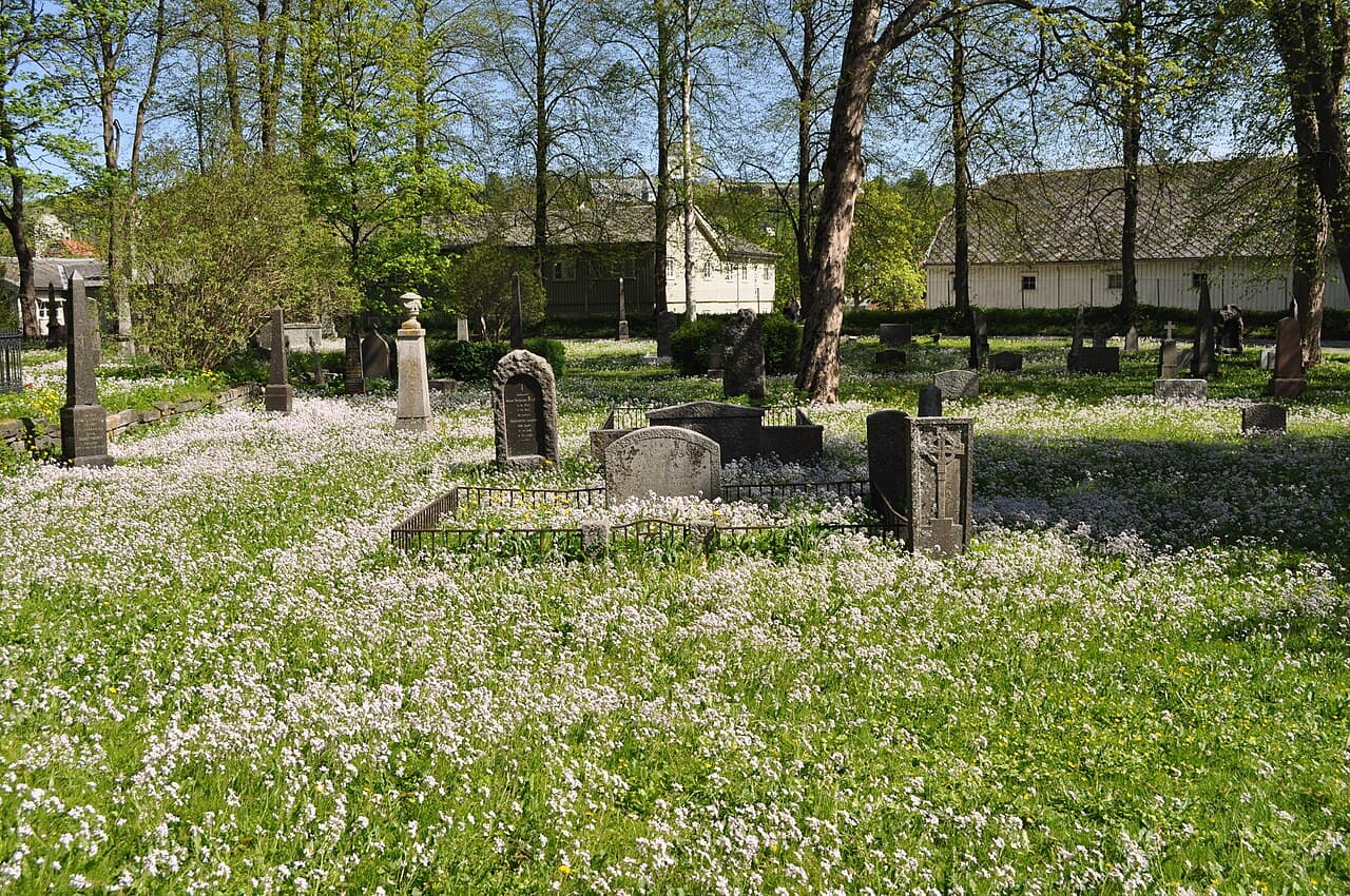 Тронхейм — вид