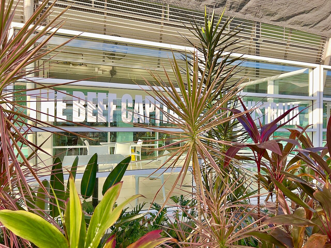 Фото для вдохновения о перелётах